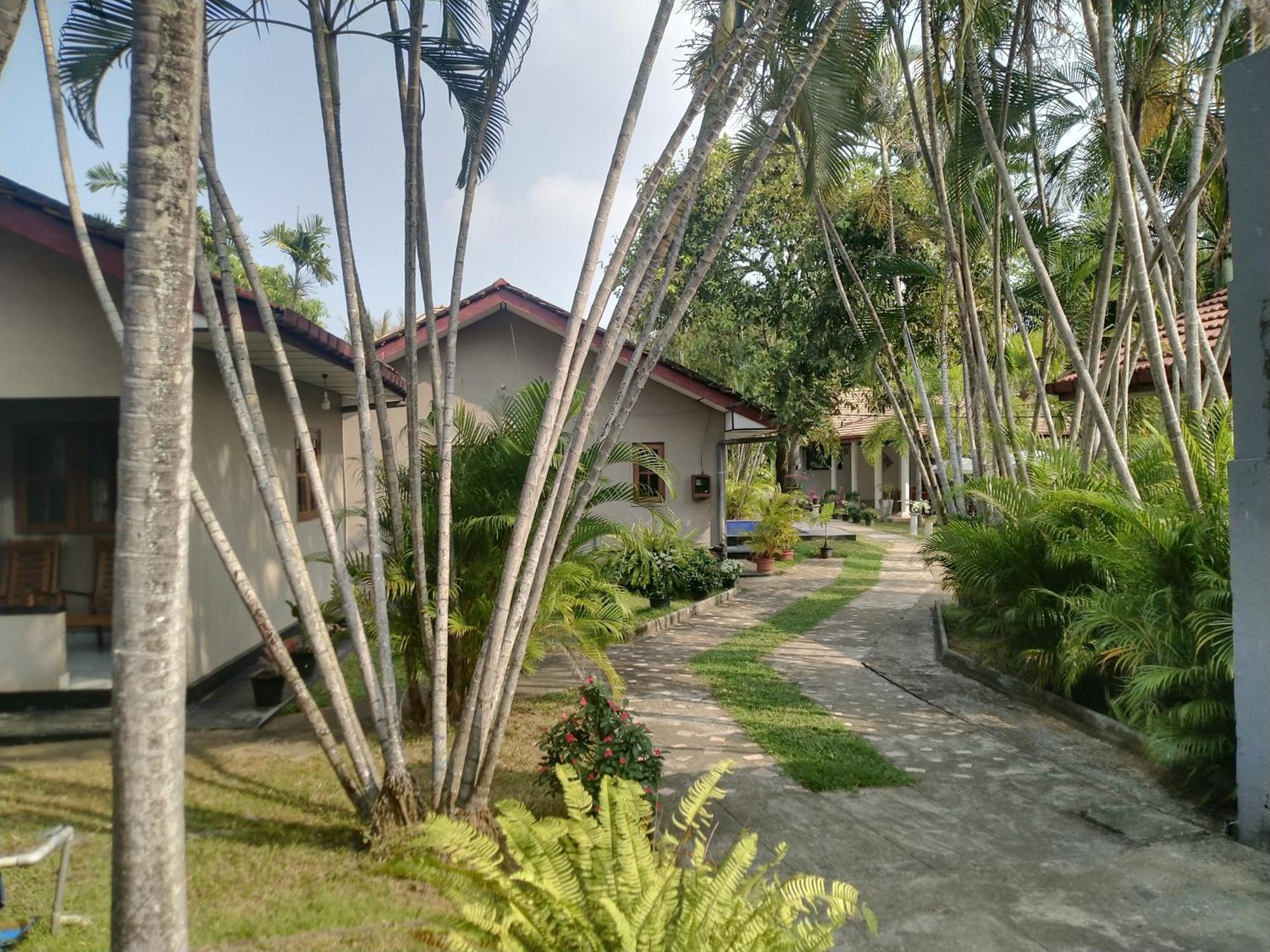 Blue Bell Hotel Negombo Exterior foto